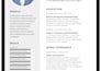 create a job winning resume CV that lands interviews
